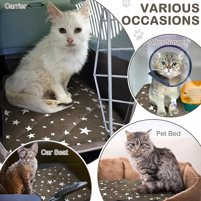 Namalu 4 Pack Self Warming Cat Bed Self Heating Cat Mat Star Pattern Soft Dog Crate Pad Thermal Pet Mat Anti Slip Kennel Dog Washable Warming Bed for Outdoor Indoor (18 x 24 Inch,Brown)