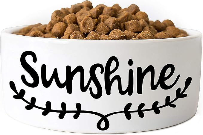 Personalized Dog Bowl, Ceramic, 6 inches, Customizable
