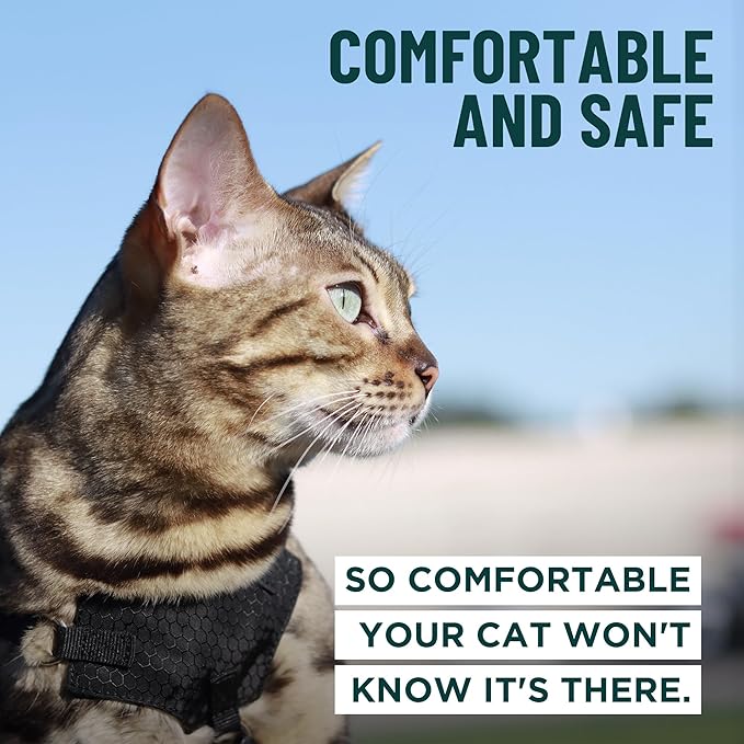 Houdini™ Escape Proof Cat Harness and Leash Set by OutdoorBengal – Tactical Vest for Walking – Extra Large, Adjustable, Long - Houdini Cat Harness Escape Proof for Large Cats + Leash (Multicolor, XL)