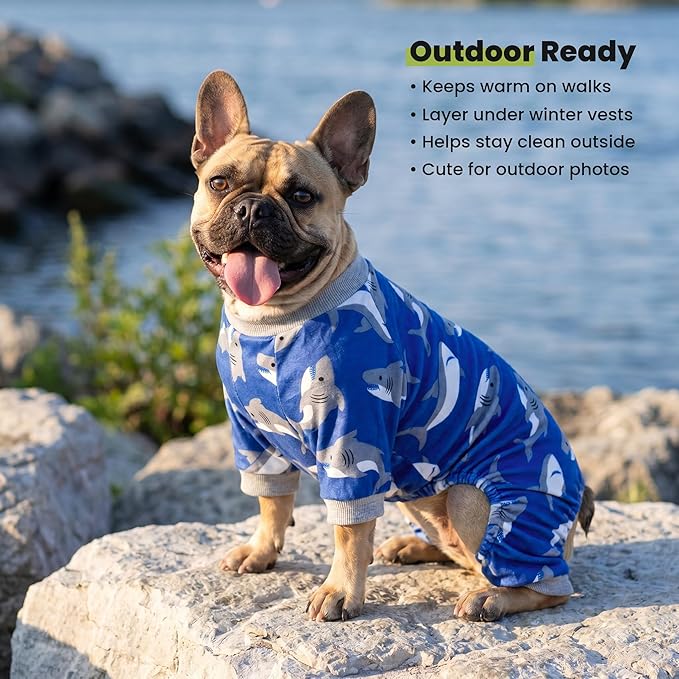 Fitwarm Shark Dog Pajamas, Dog Clothes for Small Dogs Girl Boy, Pet Onesie with Feet, Cat Outfit, Lightweight Velvet, Royal Blue, Small