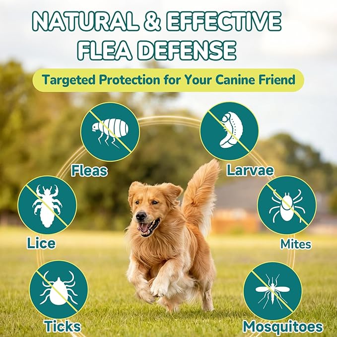 Woyamay Cat & Dog Flea and Tick Prevention Bundle, 500 Crunchy Dual-Texture Chews Each, Natural 4-in-1 Flea Defense with Skin, Coat, Gut & Immune Support, Oral Daily Flea Treatment for Cats & Dogs
