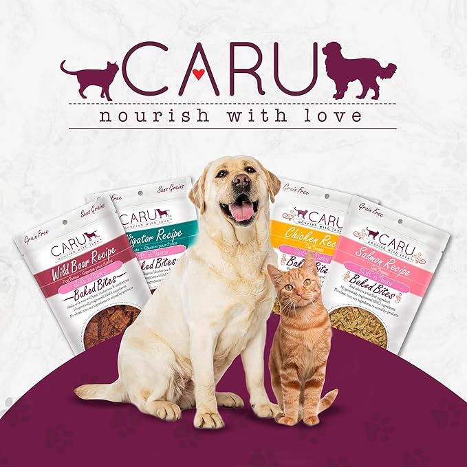Caru - Soft ‘n Tasty Baked Salmon Bites - Natural Treats for Cats - Supports Muscle & Heart Health - Packed With Protein - Traceable Ingredients - Flavorful - Non-GMO - Made in USA - 3 oz - 1 Pack