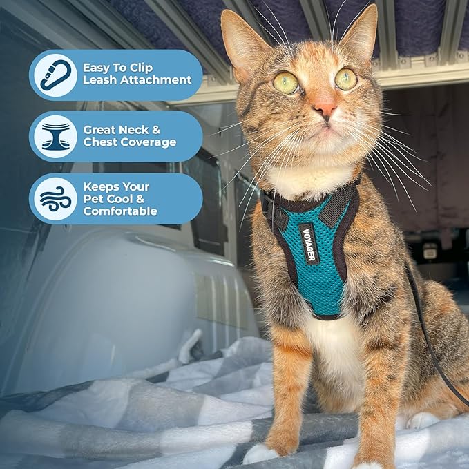 Voyager Escape-Proof Step-In Lock Cat Harness & 5ft Neoprene-Handle Leash Set All-Weather Mesh with Reflective Stitching For Small to Large Cats by Best Pet Supplies, Turquoise/Black Trim, S