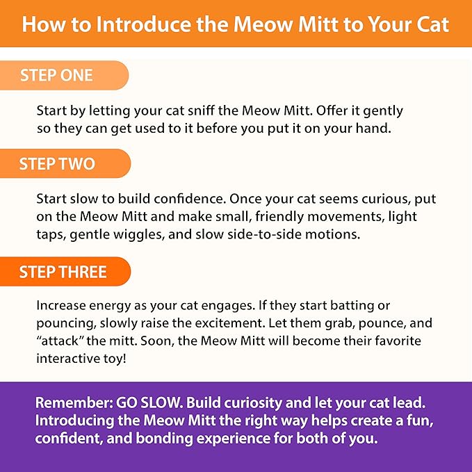 Pounce & Purr® Meow Mitt Wearable Cat Toy – Cat Wrestling Glove, “Pip S. Queek” Plush Mitten with Catnip & Silvervine, Crinkle Sounds & Dangling Arms for Bonding Play with Cats & Kittens (Mouse)