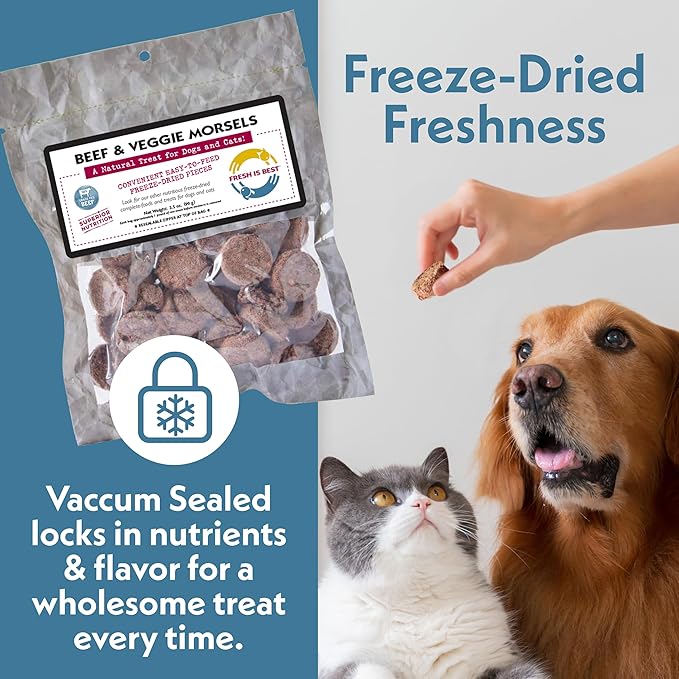 Fresh Is Best Beef & Veggie Morsels Freeze Dried Dog Treats – Raw Freeze Dried Dog Food for Cats & Canines – Training Treat in Resealable Zipper Bag – Grass-fed & Finished Beef Made in the USA
