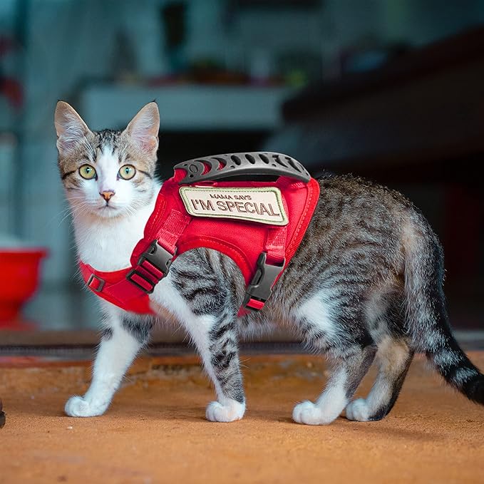 AIWAI Tactical Cat Harness for Walking Escape Proof, Adjustable Pet Vest Harness with Control Handle for Large Cat Small Dog, Soft Mesh, Gift with Patch