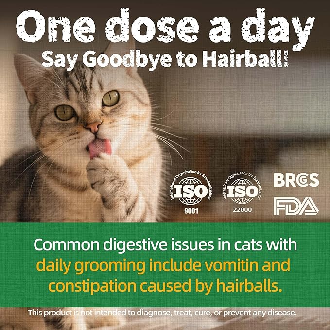 Just Try Cat Treats for Indoor Cats Hairball Control Natural Salmon Healthy Cat Grass Treats Kitten Snacks Training Biscuits Catnip for Cats Dental Care 13.4 OZ