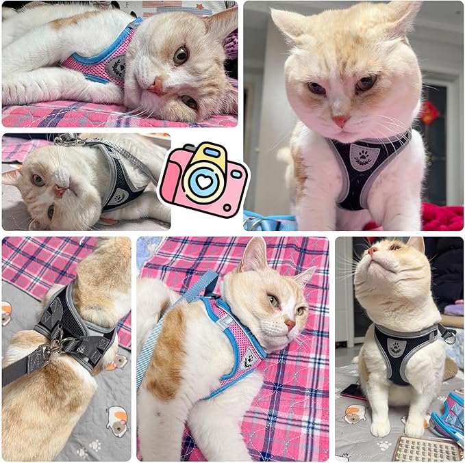 SCENEREAL Cat Harness and Leash Set Escape Proof, Adjustable Soft Air Mesh Kitten Harnesses for Girls Boys Small Medium Big Cats, Reflective Light Travel Pet Walking Vest for Puppy Rabbit, Black S