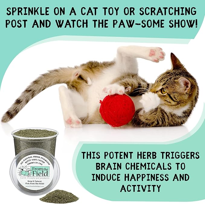 from The Field | Fine Ground Stalkless Catnip | Premium USA-Grown Catnip for Toys & Playtime | Fresh, Potent, Non-Toxic, Eco-Friendly | Safe for Kittens & Cats | Resealable 3 Oz Bag