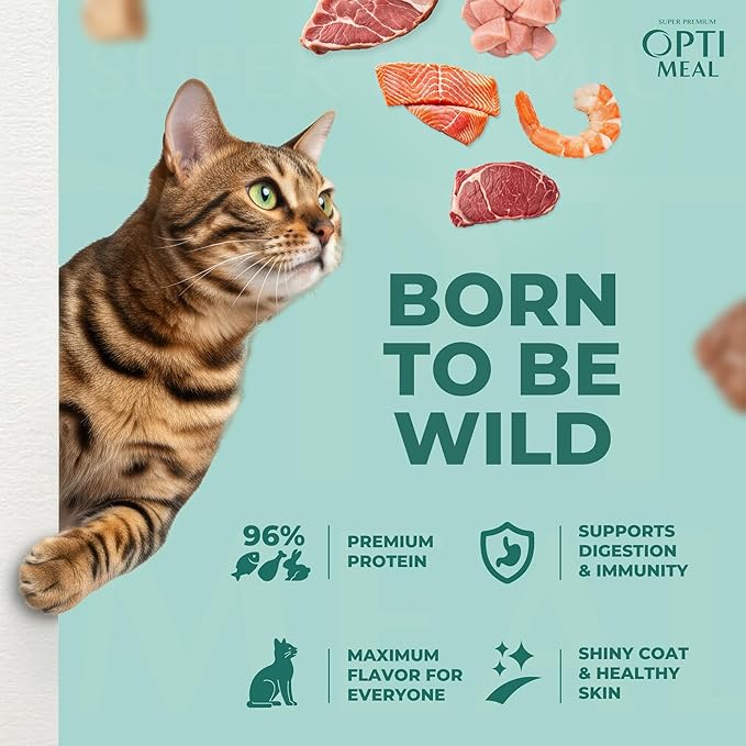 Optimeal Grain-Free Wet Cat Food Pouches – Shrimp & Salmon in Savory Gravy, High Protein & Moisture-Rich Tender Morsels, Indoor Adult Cat Food Wet with Natural European Ingredients, 3 oz (Pack of 12)