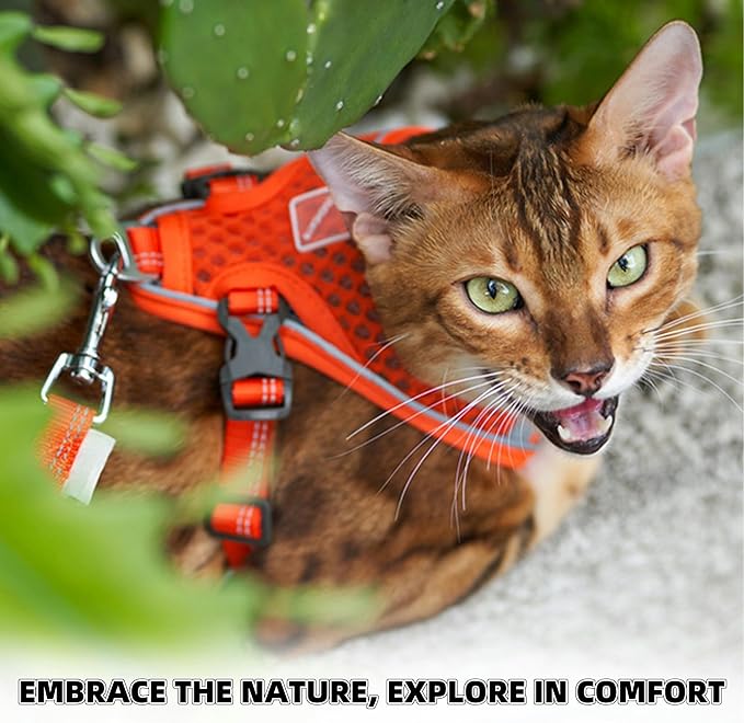 Cat Harness and Leash Set for Comfortable Outdoor Walking, Escape Proof, Adjustable Soft Kitten Vest Harness with Reflective Strip for Cats, Small Dogs (Pink Green, M)