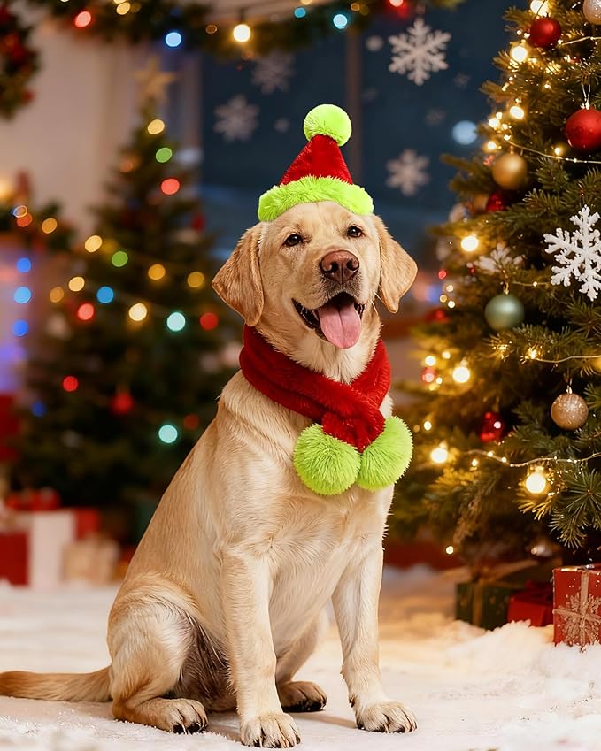 Dog Christmas Hat with Scarf, Cat Santa Hat Soft Plush Dogs Mini Santa Hats Small Dogs or Cats Pet Costumes Goose Cat Christmas Outfit(Green Red, Medium)