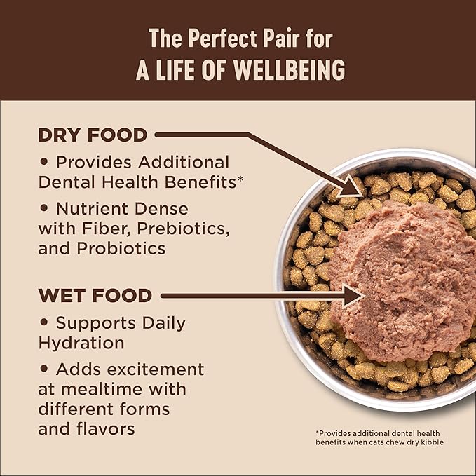Wellness CORE+ Digestive Health Pate Variety Pack Adult Canned Wet Cat Food, Natural, Protein Rich, Grain Free, Chicken and Turkey Recipes, 3 oz, Pack of 12 Cans