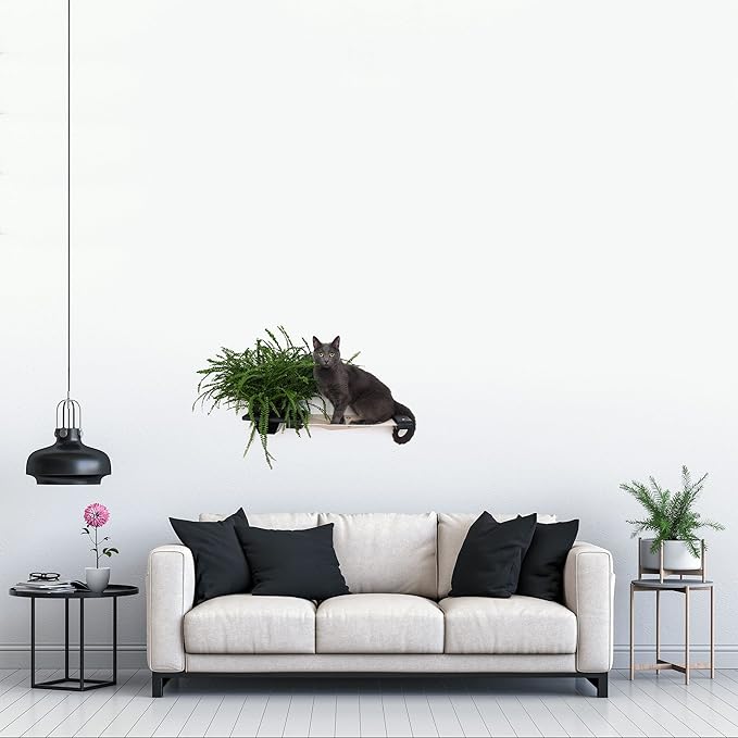 Catastrophic Creations Cat Planter Lounge Cat Hammock — 25-Inch Black/Natural Canvas— Cat Wall Shelf— Cat Wall Furniture — Cat Climbing Shelves — Cat Floating Shelves — Cat Wall Hammock