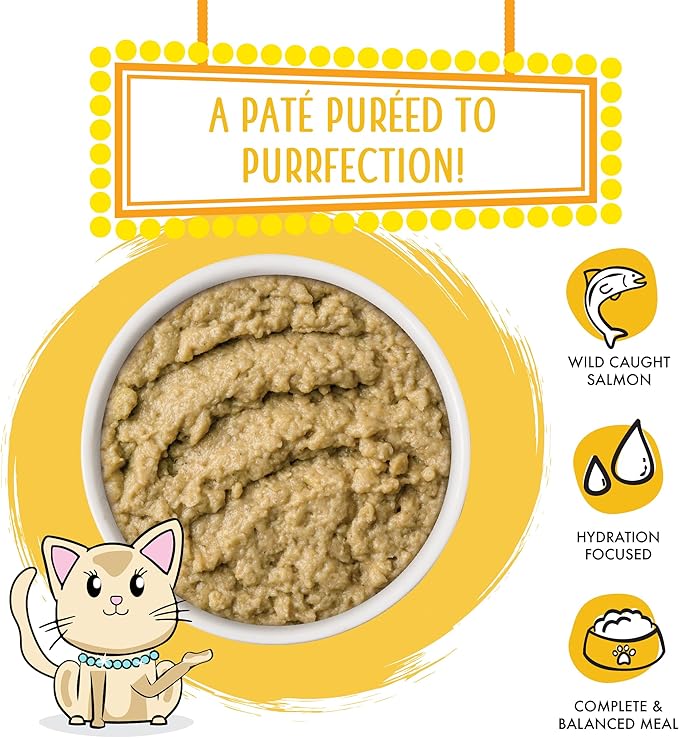 Weruva Wet Cat Food, The Slice is Right with Wild Caught Salmon Pate, 5.5oz Slide N Serve Pouch, Pack of 12