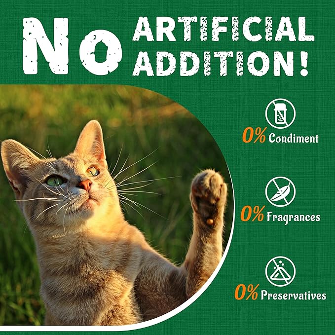 Just Try 36 OZ Cat Grass Treats Salmon Oil Natural Salmon Kitten Healthy Cat Treats Training Biscuits Snacks Fish Oil Omega 3 Supplements for Cats Joint Support & Skin Coat Health