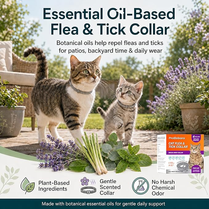 Flea Tick Prevention Collars for Cats: Essential Oil-Based Collar for 4 Month Support - Natural Fleas Ticks Breakaway Collar for Large & Small Cat, Outdoor Fleas Ticks Control for Kittens