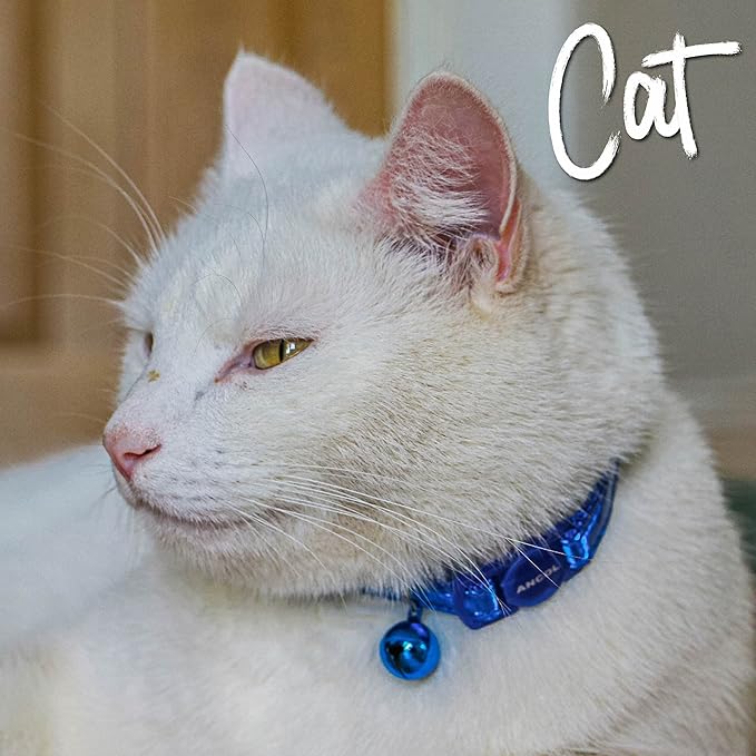 Ancol Gloss Reflective Cat Collar with Safety Buckle Blue
