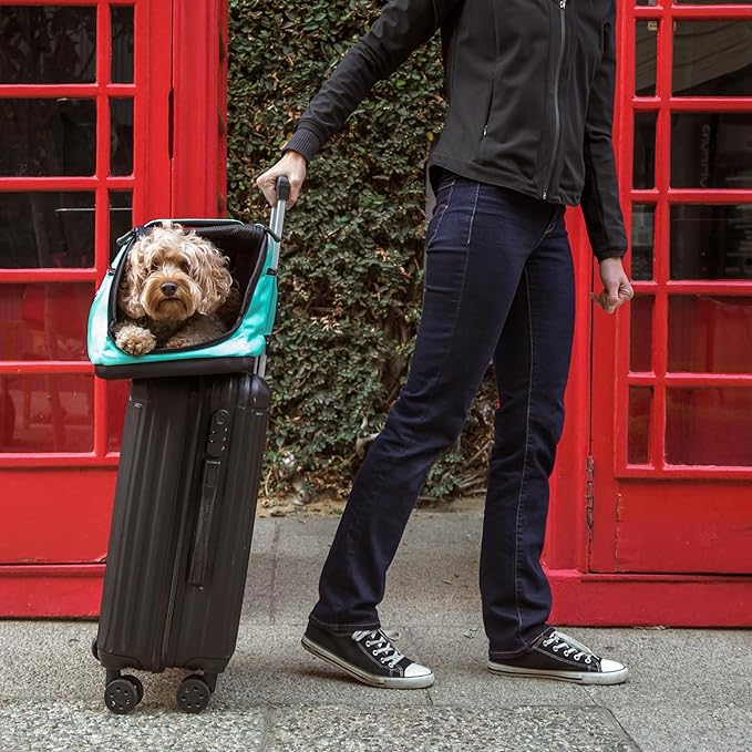 Sleepypod Air Pet Carrier Robin Egg Blue