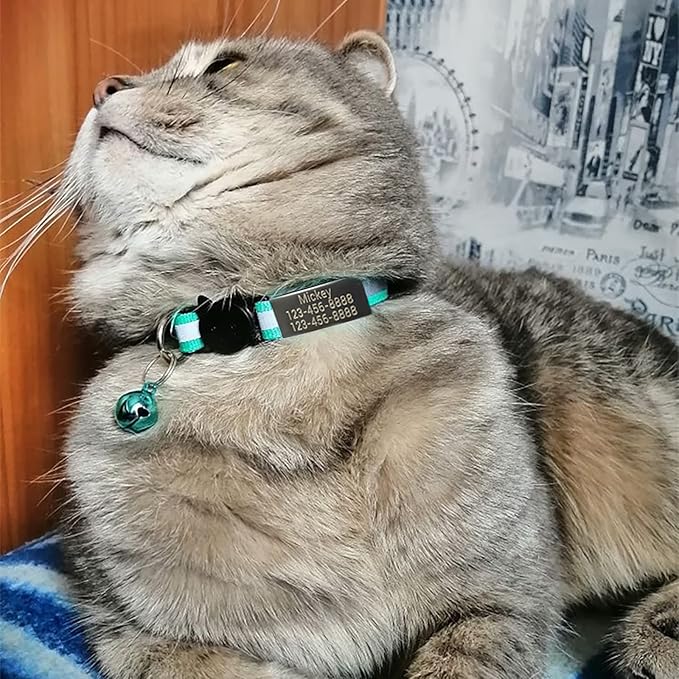 2 Pack Personalized Reflective Cat Collar Breakaway Cat Collars with Name Plate and Bell,Cat Collar with Personalized
