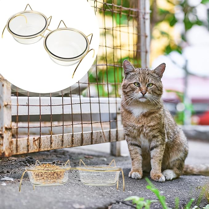 ELEOUTI Angled Cat Feeding Bowl Set with Neck Protection Double Bowls with Iron Raised Stand for Cats Suitable for Home Feeding and Watering