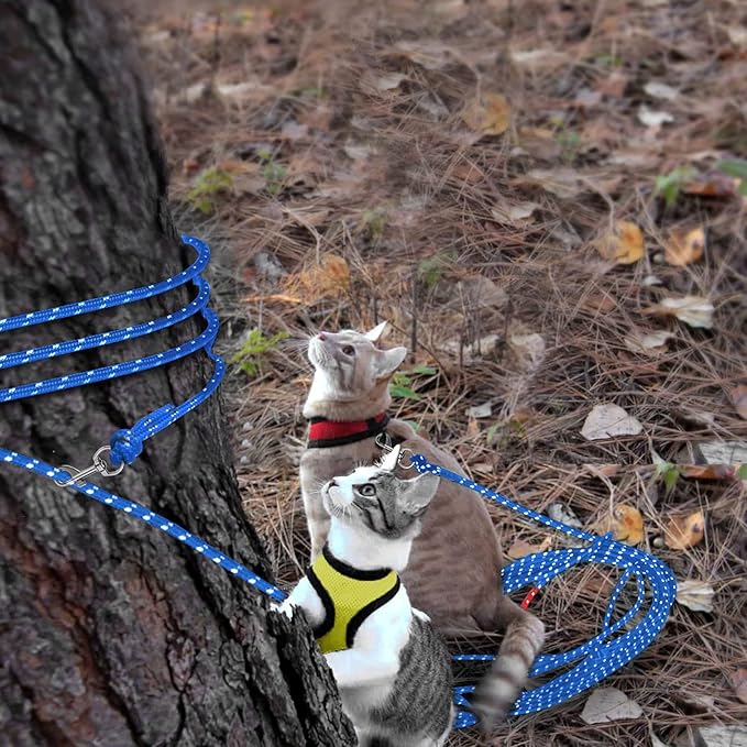 Rypet Reflective Cat Long Leash - 30 FT Escape Proof Walking Leads Yard Long Leash Durable Safe Personalized Extender Lead Traning Play Outdoor for Kitten, Puppy, Rabbit and Small Animals