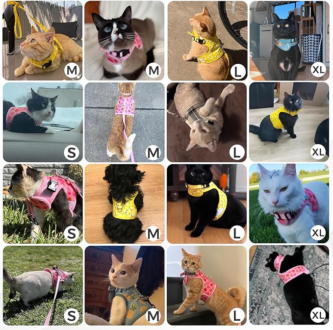 BINGPET Cat Harness with Leash and Collar for Walking - Escape Proof with 59 Inches Leash - Adjustable Soft Vest Harnesses for Medium Large Cats Bee