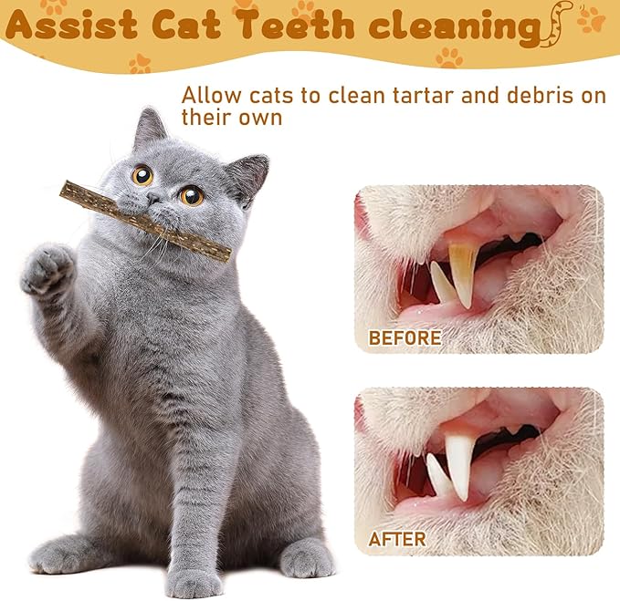 WoLover Silvervine Sticks for Cats, Natural Catnip Matatabi Chew Sticks Teeth Molar Chew Toys for Cat Kitten Kitty (at Least 12 PCS)