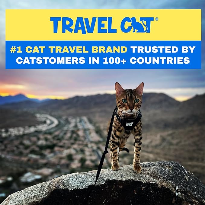 Travel Cat Harness and Leash Set - Adjustable Fit Mesh Cat Harness and Reflective Strap - Comfort Walking Vest for Kitten for Outdoor Walking, Hiking (Extra Small, Black)