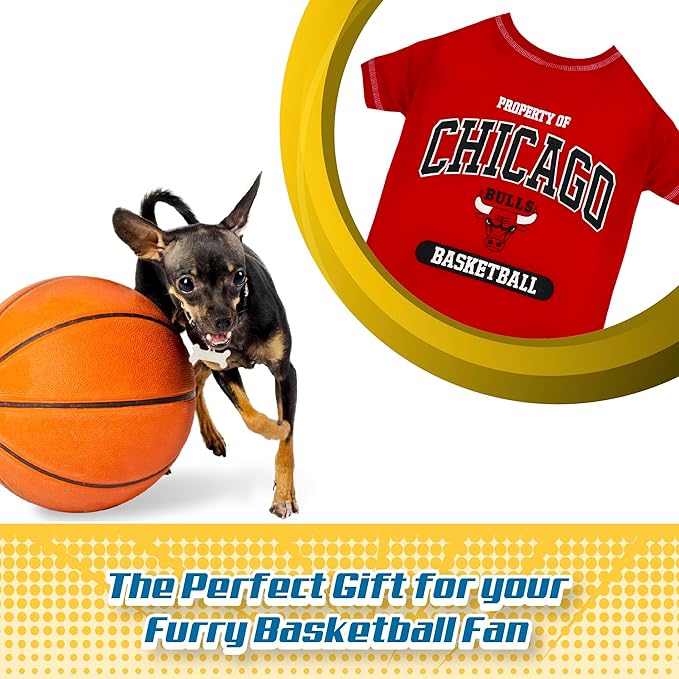 Pets First NBA Licensed Hoodies & T-shirt for Dogs & Cats, Chicago Bulls, Small