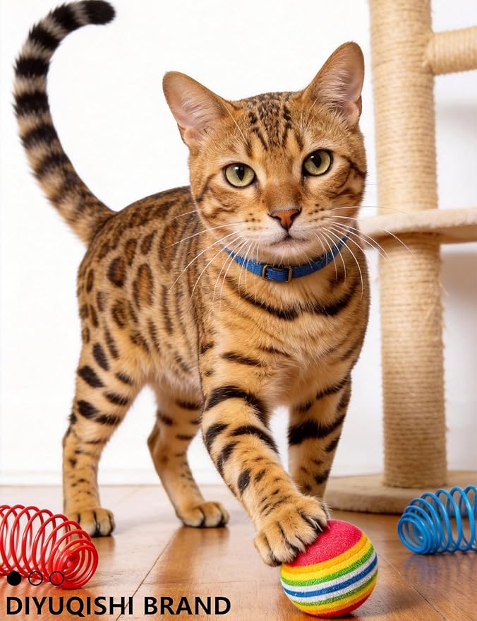 31 Pcs Interactive Cat Toy Balls Set for Indoor Kitten, Fun Chase Play Toys with Bell Balls (1.5'' - 6.3'')