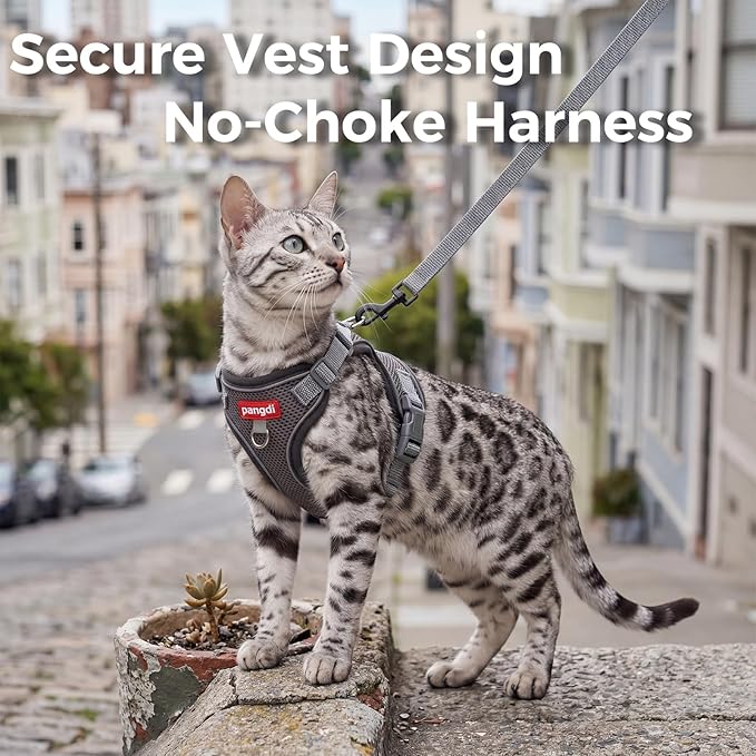 Cat Harness and Leash Kitten Harness Escape Proof Lightweight Breathable Mesh Cat Leash for Walking Travel, Grey, Large