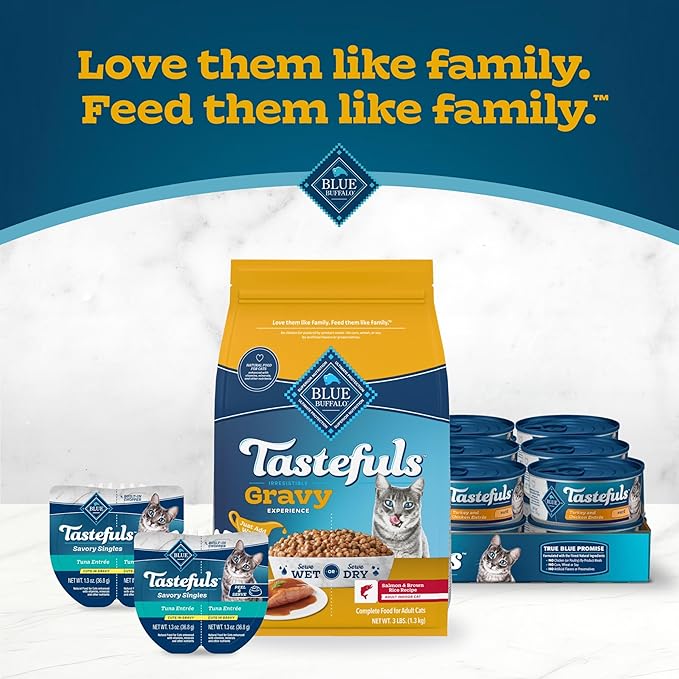 Blue Buffalo Tastefuls Irresistible Gravy Experience Salmon & Brown Rice Recipe Dry Indoor Cat Food for Adult Cats, Deliciously Healthy Natural Cat Food, Supports Digestion & Coat Health, 3 lbs.