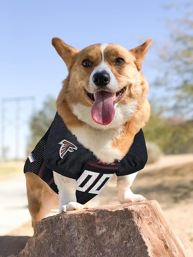 Atlanta Falcons Raglan Pet Jersey