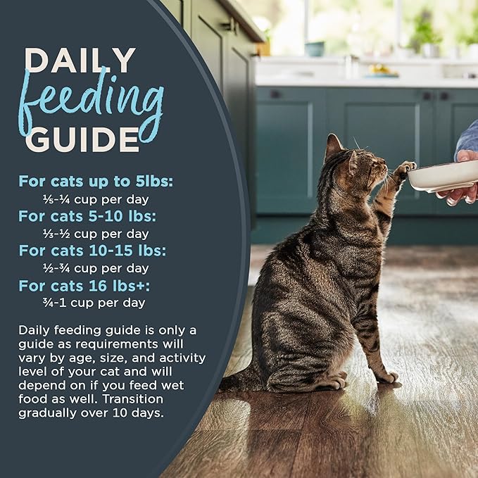 Reveal Natural Adult Dry Cat Food, High Protein, Grain Free with Added Vitamins & Minerals, Complete & Balanced Nutrition for Cats, Whitefish Recipe (3 Pound Bag) (Pack of 2)