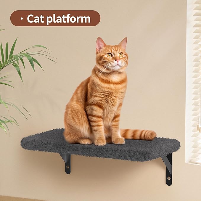 Cat Wall Shelves for Large Cats, Stable & Safe Kitty Walls Furniture Set for 40LBS Cats with Wooden Cat Climber,House, Bridge, Tree, Steps, and Scratcher for 16 Inch Drywall (Black, 6-in-1)
