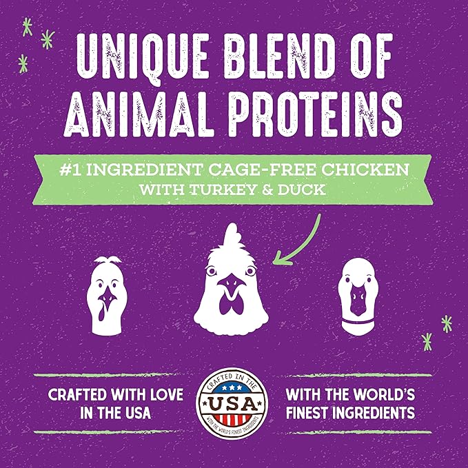 Stella & Chewy's Raw Blend Premium Kibble Cat Food – Grain Free, Protein Rich Meals – Cage-Free Poultry Recipe – 10 lb. Bag