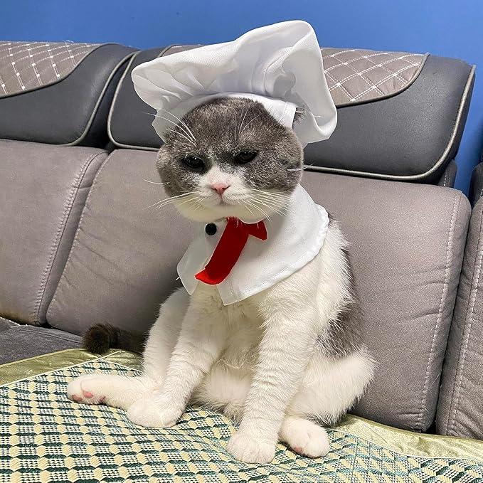 Pet Chef Hat and Collar Costume Set, Chef Outfit for Cats and Small Dogs