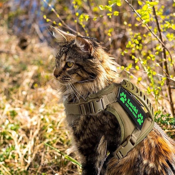 Tactical Cat Harness, Escape Proof Cat Harness with Customizable Patches, Adjustable Military Style Design, Optional Leash (Red)