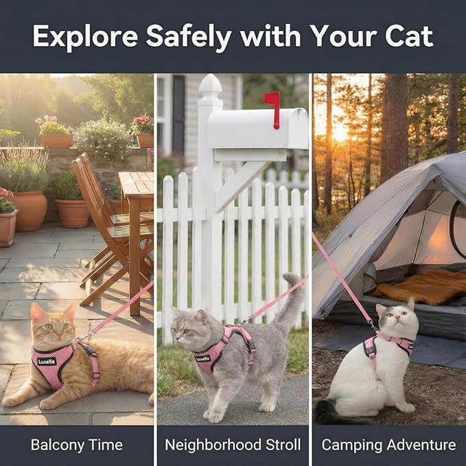 Luxelle 2 Pack Escape-Proof Cat Harness and Leash Set for Walking – Adjustable No Pull Soft Vest with Easy-Wear Buckle, Reflective Straps, Breathable Mesh – Outdoor Travel Harness for Cats & Kittens