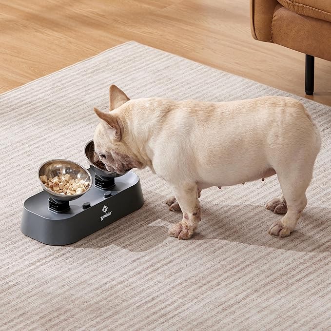 ZOMISIA Raised Cat Food and Water Bowls with 3 Height for Indoor Cats, 15° Tilted in Both Ways Elevated Base Anti Vomiting Cat Dishes, Anti Spill for Puppies