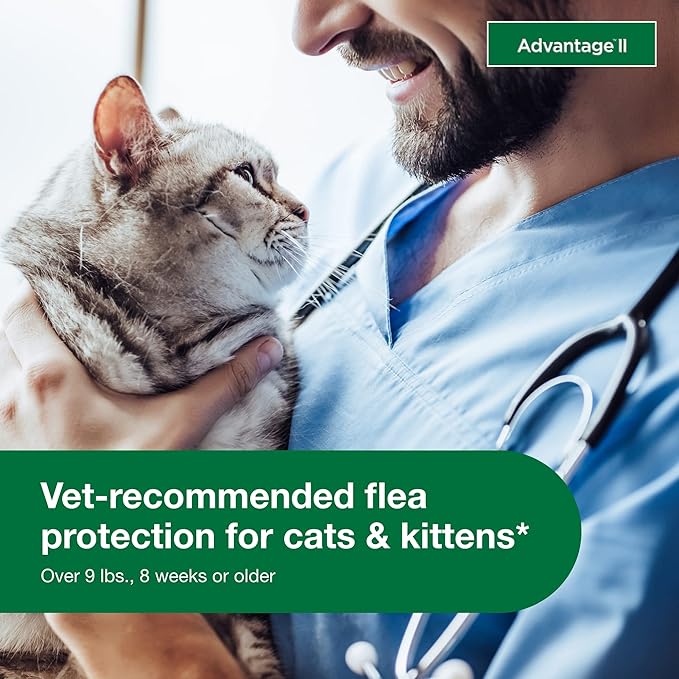Advantage II Large Cat Vet-Recommended Flea Treatment & Prevention | Cats Over 9 lbs. | 1-Month Supply (Pack of 3)