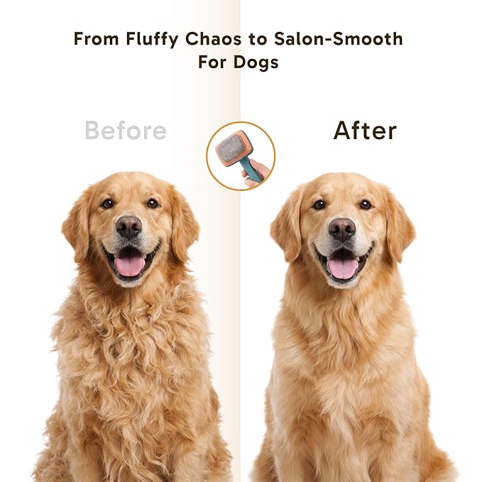 Wolfster Self-Cleaning Slicker Brush for Dogs & Cats - Skin-Friendly Deshedding Brush & Undercoat Rake for Short, Medium and Long Hair Pets, Reduces Shedding by 90% (Parrot Green)