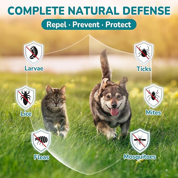 Woyamay Natural Flea & Tick Prevention Bundle for Cats & Dogs, 200 Chews + Drops 4-in-1 Herbal Drops, Supports Skin, Coat, Digestion & Immunity, Gentle Daily Flea Treatment for Multi-Pet Homes