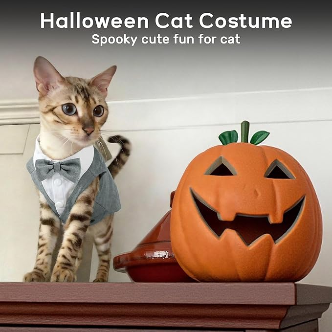 PUMYPOREITY Cat Tuxedo Suit Formal Wear with Bow Tie, Soft Skin-Friendly Cat Costumes for Cats Only, Elegant Outfit for Male Female Cats, Perfect for Wedding Birthday Photo Shoots, XL, Grey