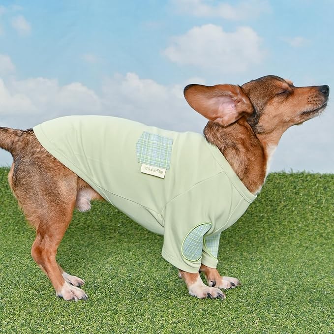 Puppia Eco Pocket T-Shrit Eco-Friendly Made from Recycled Polyester Fabric for Small and Medium Dogs, Green, Medium