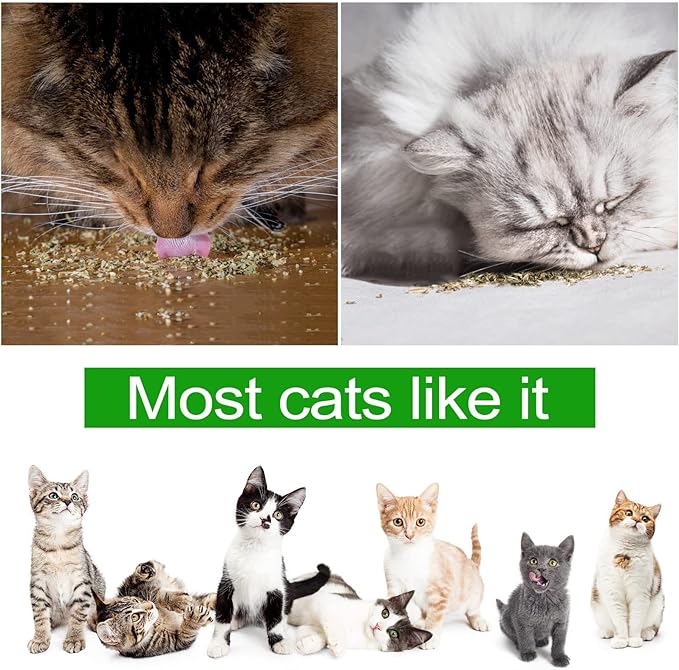 Dried Catnip, Natural Catmint, Used as a Snack or Filling Cat Toy, Delicately Dried and Sealed and Packaged for Easy Preservation