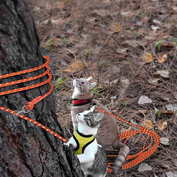 Rypet Reflective Cat Long Leash - 30 FT Escape Proof Walking Leads Yard Long Leash Durable Safe Personalized Extender Leashes Traning Play Outdoor for Kitten, Puppy, Rabbit and Small Animals