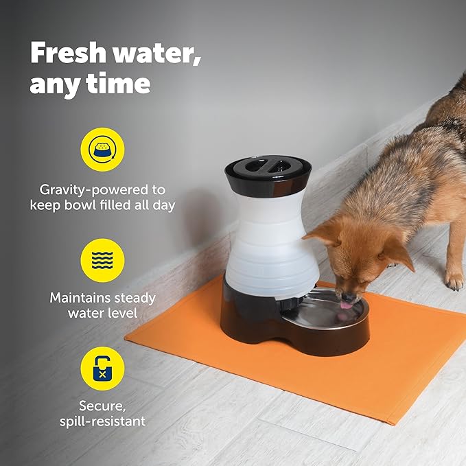 PetSafe Healthy Pet Food & Water Stations - Cat & Dog Food Storage Container - Filter Included with Waterer - Keeps Food & Water Fresh - Suitable for Small, Medium, & Large Dogs - Stainless Steel Bowl
