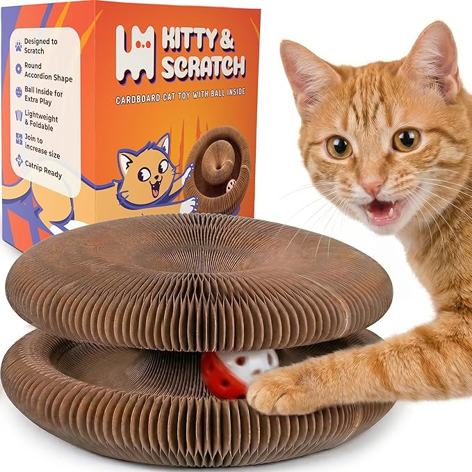 Kitty&Scratch Cat Scratcher Toy | Cardboard Cat Toy with Ball Track with Bell | Kitty Kurlz | Kitty Curls Style Accordion Toy | Expandable Reversible Cardboard Scratcher for Cats & Kittens